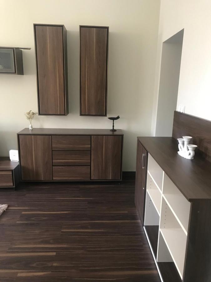 Apartman U Kolonady Karlovy Vary Bagian luar foto